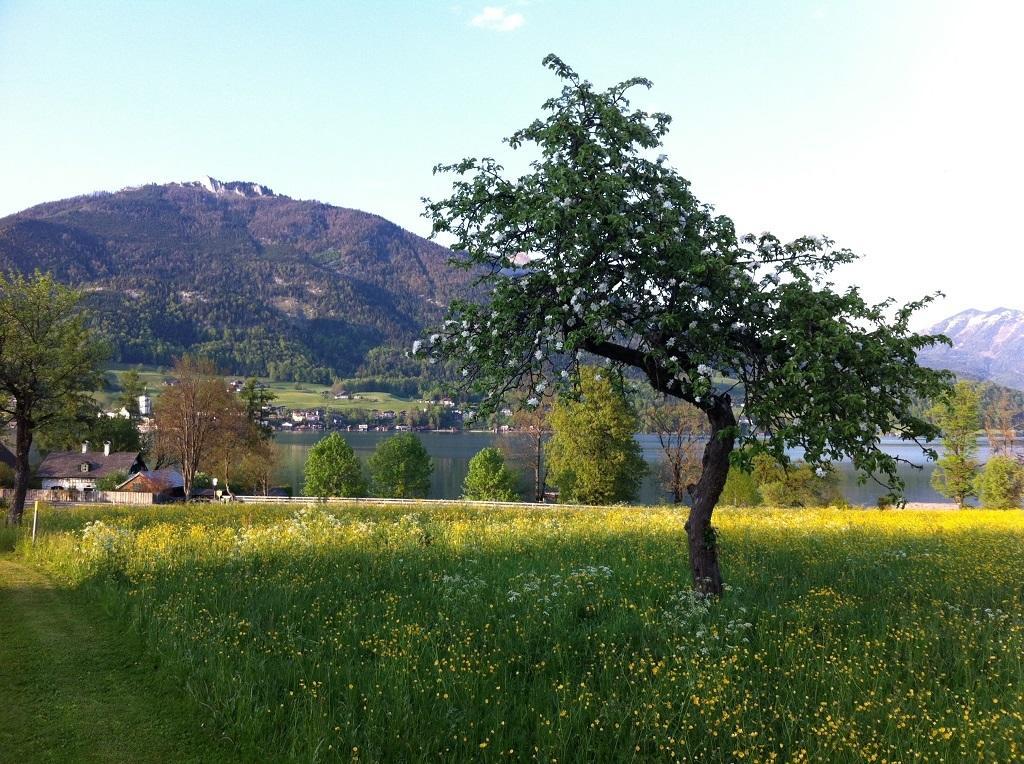 Haus Schoenblick Apartment Strobl Bagian luar foto
